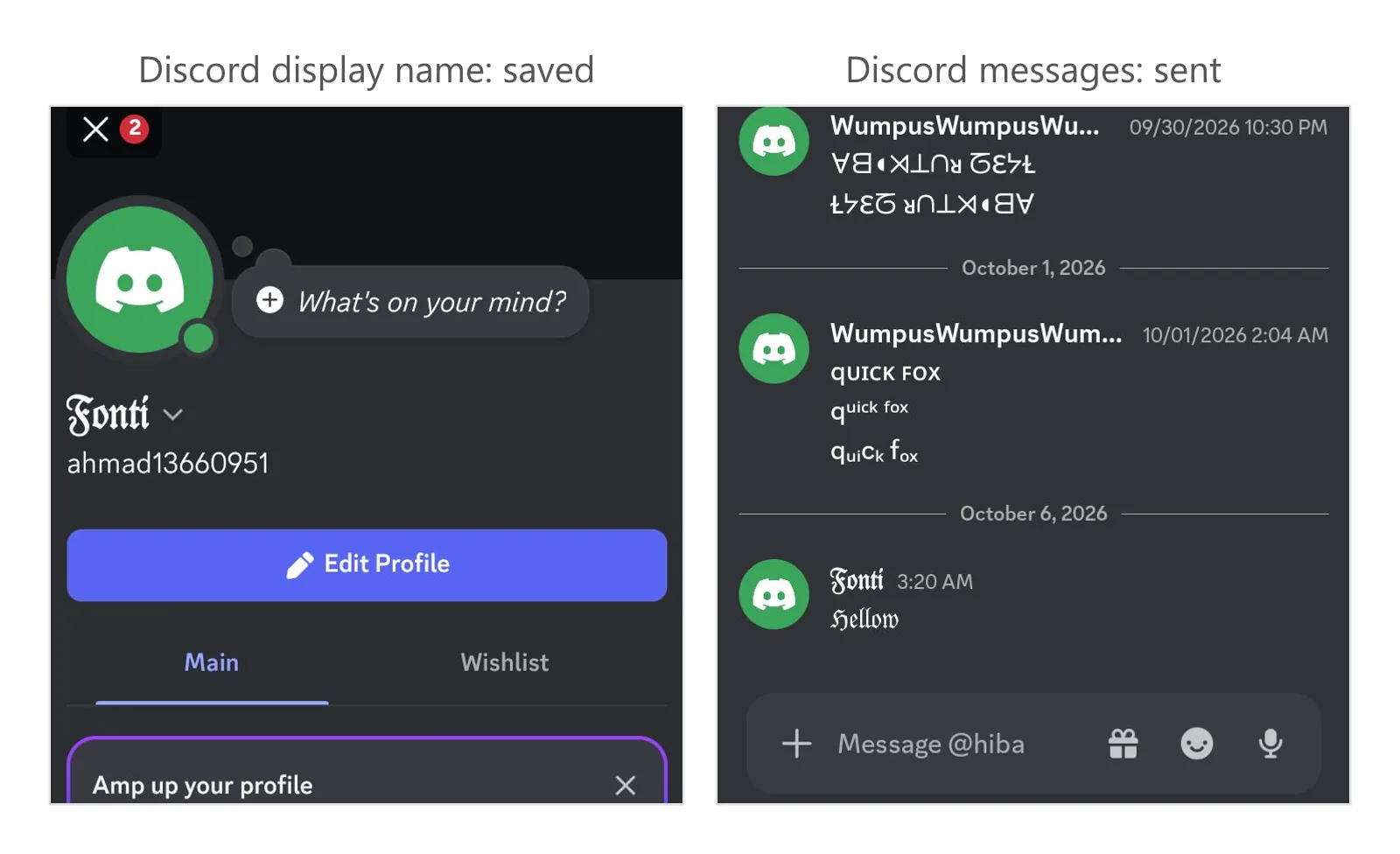 A Discord profile with a styled display name above a plain username, beside a chat showing several styled messages that sent.
