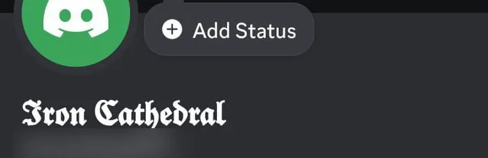 a Discord profile with a styled display name above a plain @handle