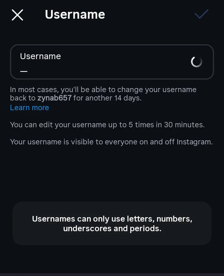 Instagram username field rejecting styled characters with a notice about letters, numbers, underscores and periods