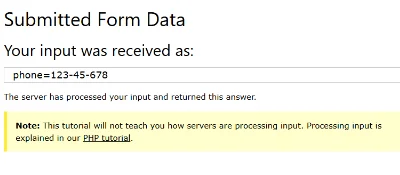 A telephone input submitted with plain digits, showing the accepted result